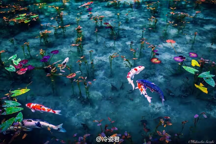 ��ͷ�µ��ձ��꼾 e7bf4c79gw1f5djjkfyf7j20og0ga778.jpg