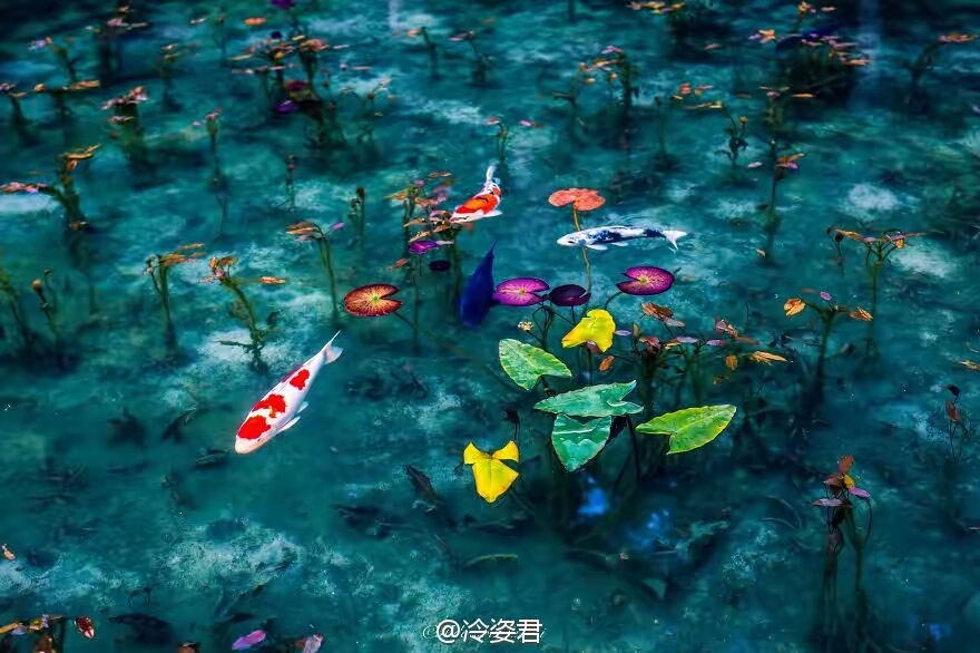 ��ͷ�µ��ձ��꼾 e7bf4c79gw1f5djjopuf7j20og0gatbl.jpg