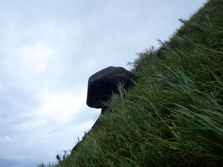 ���� DSC03941.JPG