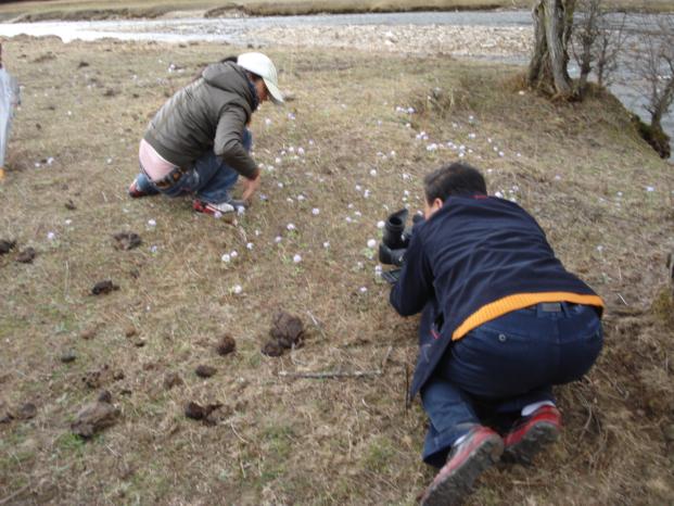 DSC01988 (621x466).JPG