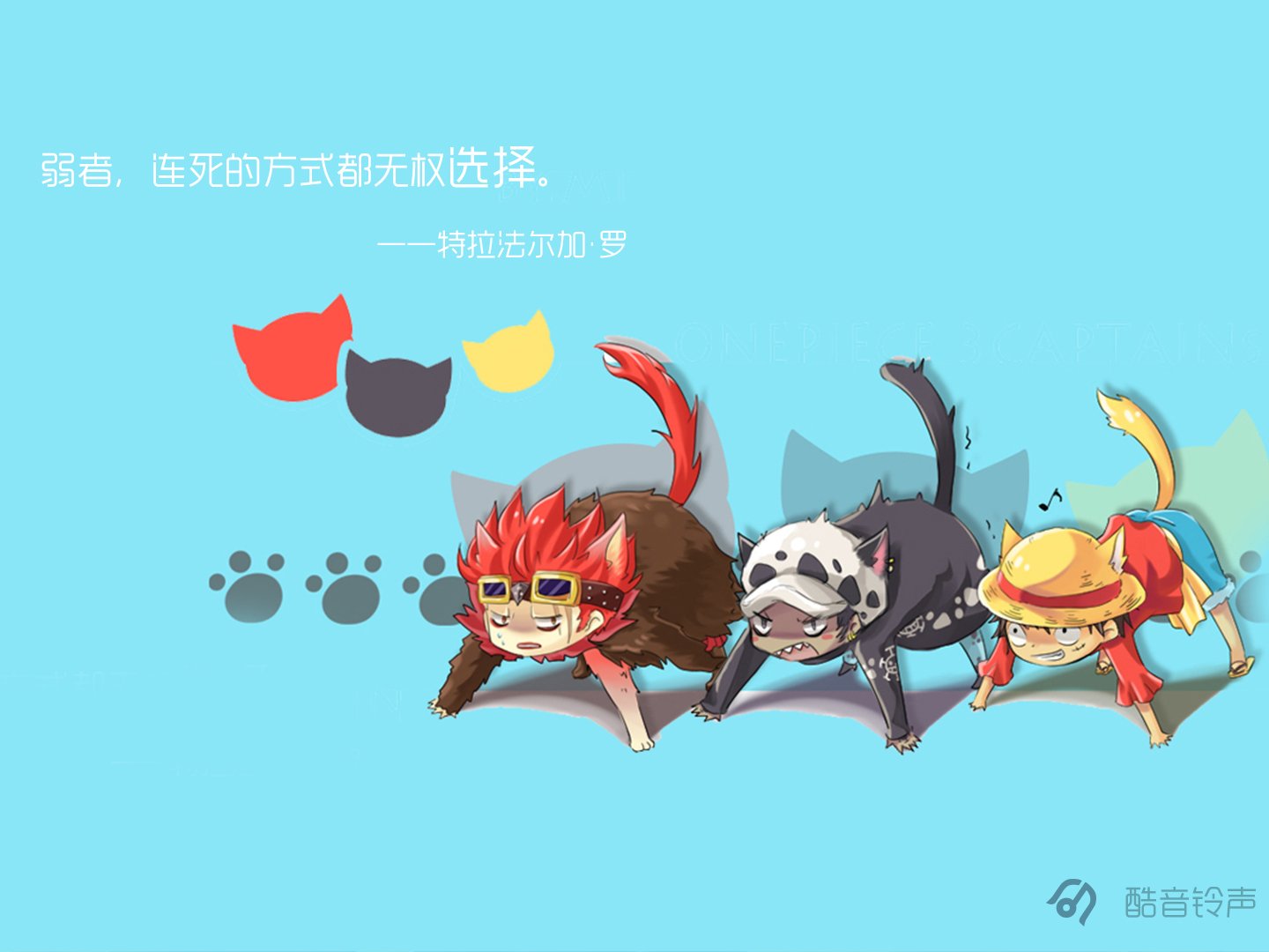 ������ (14).jpg