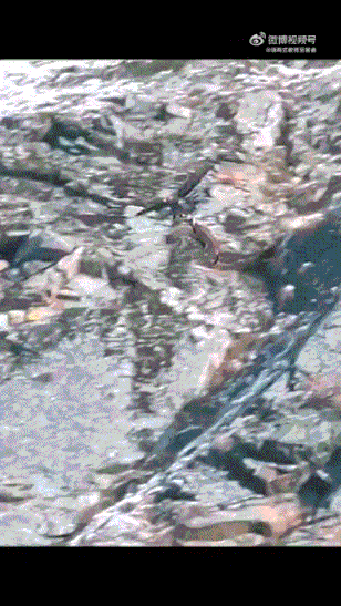 aUhBbPdR9L7WeKA (1).gif