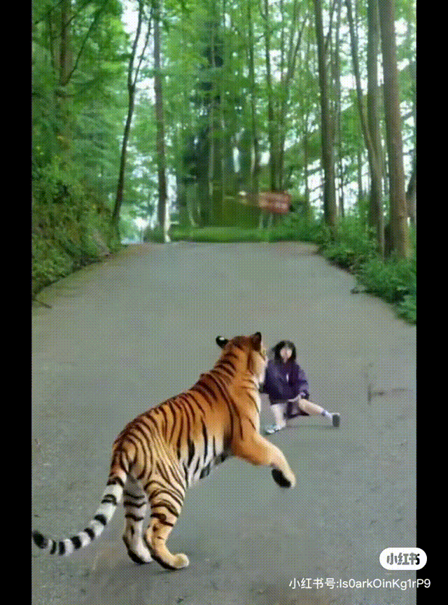 1 00_00_00-00_00_30.gif